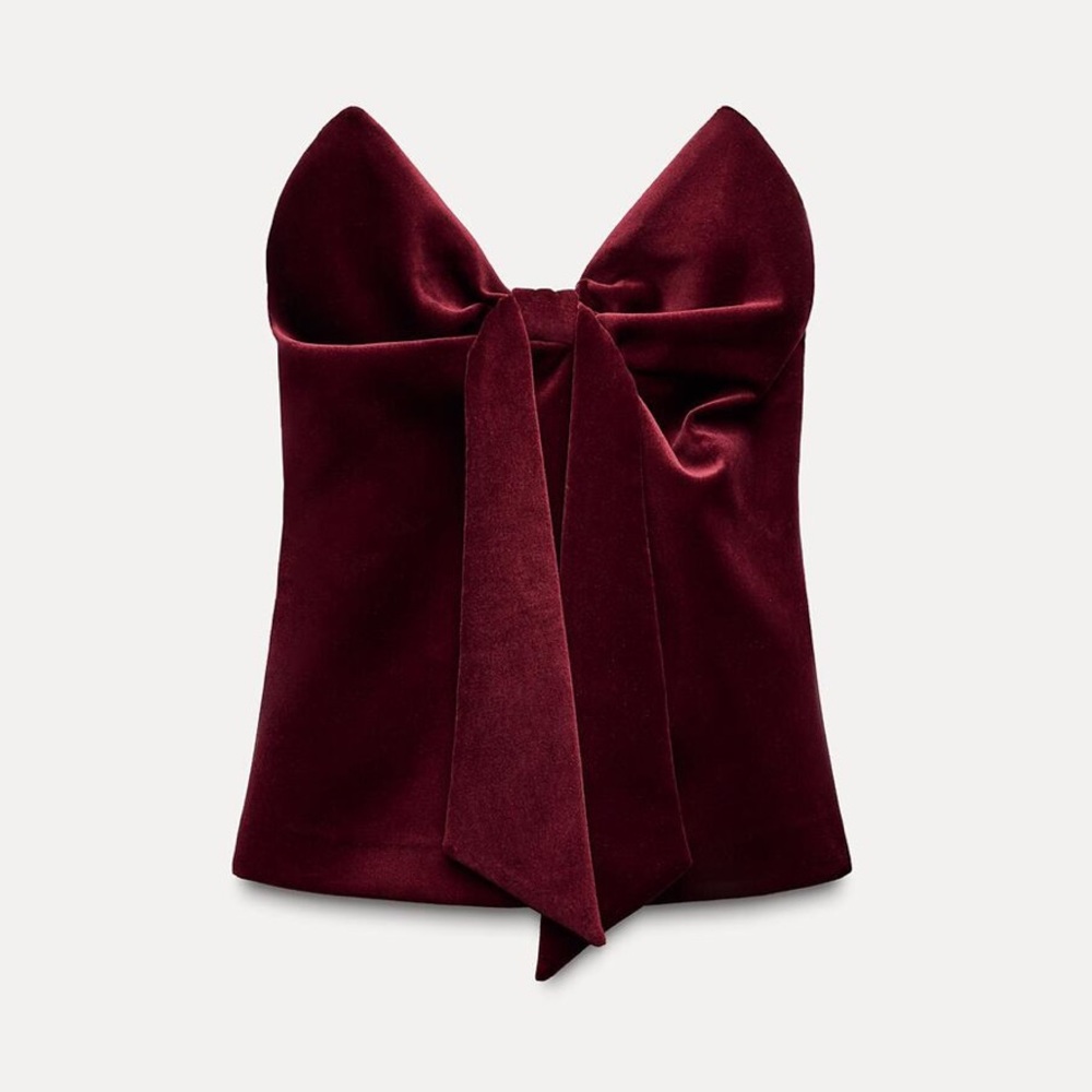 BNWT Zara Velvet Bow Top